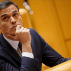 Pedro Sánchez, en el Senado.-JOSE LUIS ROCA