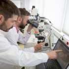 Laboratorio de I+D de alimentación de Indukern en El Prat de Llobregat.-FERRAN NADEU