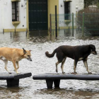 Argentina padece fuertes inundaciones.-AFP