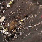 Imágenes de los restos del avión de Germanwings estrellado en los Alpes-