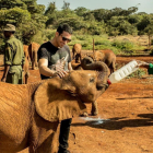 Miguel Ángel Silvestre ayuda a dar el biberón a un elefante de seis meses en Kenia.-INSTAGRAM