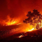 Las llamas entran en un viñedo de Geyserville durante el incendio que está asolando California.-JOSH EDELSON (AFP)