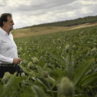 Mariano Rajoy, en una visita que realizó el miércoles a una plantación de alcachofas de Tudela (Navarra).-AP / ÁLVARO BARRIENTOS