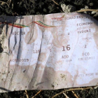 Tarjeta de embarque del vuelo ET 302 de Ethiopian Airlanes, siniestrado en Bishoftu (Etiopia).-REUTERS / TIKSA NEGERI