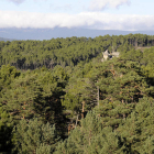 Vista general de un bosque de la provincia de Soria, ayer. / VALENTÍN GUISANDE-