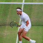 Nadal, en su duelo con Querrey en WImbledon.-ANDREW COULDRIDGE