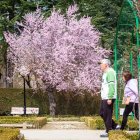 Imágenes de la primavera en Soria. MARIO TEJEDOR