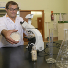 El catedrático de Micología de la Universidad de Valladolid en el Campus de Palencia, Andrés Oria, muestra un cultivo del hongo Cordyceps Militaris. ICAL