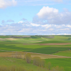 Campos de cereal en Torrelobatón, valle del río Hornija y montes Torozos-MAR TORRES