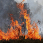 Otro año ejemplar quema sólo seis hectáreas arboladas. HDS