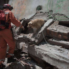 Un miembro del equipo de rescate polaco, acompañado por un perro, busca supervivientes entre los escombros, este viernes en Katmandú.-Foto: AFP / NICOLAS ASFOURI