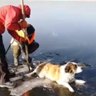 Rescate de un perro atrapado en un lago siberiano.-EL PERIÓDICO
