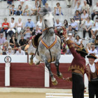 La belleza de los caballos perfectamente conjuntados y sus jinetes causó sensación entre el público adnamantino . / VALENTÍN GUISANDE-