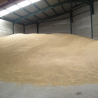 Un almacén de cebada, que a diferencia del trigo este año está tardando «un poco más». / ecb