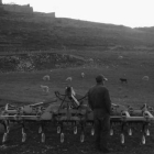Daniel con sus ovejas en Cabreriza. Foto cedida por Víctor García.