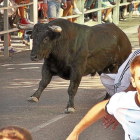 Un momento del encierro desarrollado ayer en Cuéllas, en el qeu solo tres toros llegaron al ruedo.-ICAL