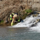 Los bomberos intentan reanimar al corzo tras rescatarlo del agua en la presa del Museo del Agua en el Soto Playa. HDS