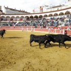 Desencajonamiento