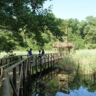 La isla de Salamanca recibió la denominación Vía Parque porque permite al visitante contemplar bosques de manglar, ciénagas y playas desde la carretera.-PARQUE ISLA DE SALAMANCA