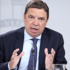 Luis Planas, ministro de Agricultura.-