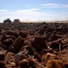 Un trabajador preparando las tierras en una parcela cercana a la capital salmantina.-- ENRIQUE CARRASCAL