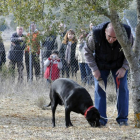 Un perro ‘trufero’ en una plantación dentro del concurso de búsqueda de Abejar.-DIEGO MAYOR