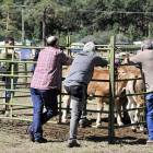 Feria de Ganado en Vinuesa-Daniel Rodríguez