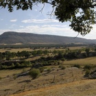 El monte Valonsadero, uno de los parajes incluidos en el corredor verde del CO2Cero de Soria. / ÚRSULA SIERRA-