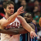 Pau Gasol y Jason Maxiell se disputan un balón en el partido que ha enfrentado a los Bulls y los Hornets en Chicago.-Foto: AFP / JONATHAN DANIEL