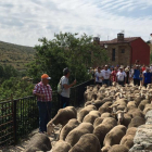 Entrada de overjas, ayer, a Oncala.-MANCOMUNIDAD TIERRAS ALTAS
