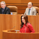 La presidenta de las Cortes, Silvia Clemente abre el turno de lectura del Estatuto.-ICAL