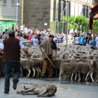 Las ovejas cruzaron a buen paso la capital para subir hacia Tierras Altas.-ÁLVARO MARTÍNEZ