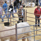 Profesionales y curiosos se dieron cita en la plaza de toros ayer.-Daniel Rodríguez