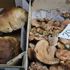 Una banasta de boletus junto a una de níscalos. / VALENTÍN GUISANDE-
