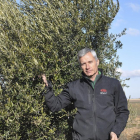 Enrique Gómez, director técnico y copropietario de Oligueva, posa en la finca donde cultivan 20 hectáreas de olivo.-