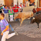 Tercer encierro urbano durante las fiestas de Cuéllar.-ICAL
