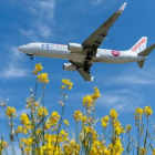 Un avión de Air Europa.-AFP / JOSEP LAGO