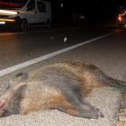 Accidente con animales en Soria. VALENTÍN GUISANDE-