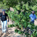 os trabajadores entre las viñas de chacolí en el término municipal de Miranda de Ebro (Burgos).-L.P.