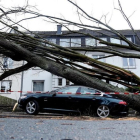 Un árbol caído sobre un coche en Dortmund (Alemania), el 18 de enero.-EFE / FRIEDEMANN VOGEL