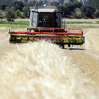 Una explotación agraria en la provincia de Soria. / ÁLVARO MARTÍNEZ-