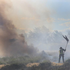 Un incendio provocado el jueves en Palencia por la quema intencionada de pelusas de chopo.-- ICAL