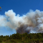 Incendio declarado en Barcebalejo.-ÁLVARO MARTÍNEZ
