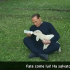 Silvio Berlusconi aparece en un vídeo cuidando y amamantando a cinco corderos que ha adoptado.-
