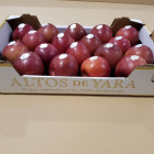 Manzanas de Altos de Yara-HDS
