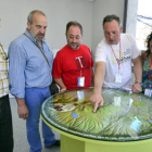 Varias personas observan el mapa en la sala dedicada al Moncayo. / ÁLVARO MARTÍNEZ-