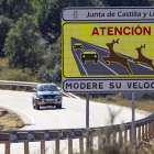 Unas de las carreteras de la provincia en la que se advierte de la presencia de fauna.