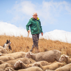 Eduardo Rincón con sus ovejas.