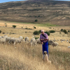 Las ovejas de Eduardo del Rincón ya pastan libres.