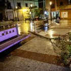 Árbol caído en la Plaza del Olivo.